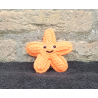 Sally the Starfish